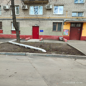 dver1